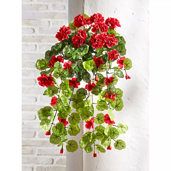 Previsnuté muškáty, červené 55 cm