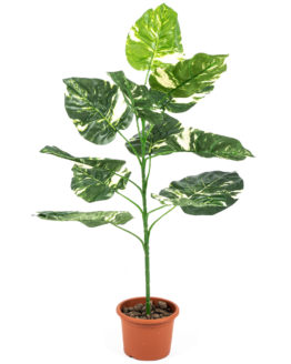 Umela-kvetina-Pothos-v-kvetinaci