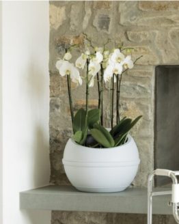 Bama-Plastovy-obal-na-kvetinac-Sfera-ladovo-biela-41-x-32-cm