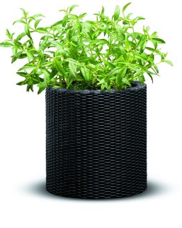 Keter-Plastovy-kvetinac-Ratan-antracit-28-x-28-x-283-cm