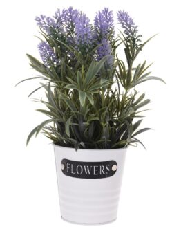 Levandula-v-kvetinaci-sv-fialova-28-cm