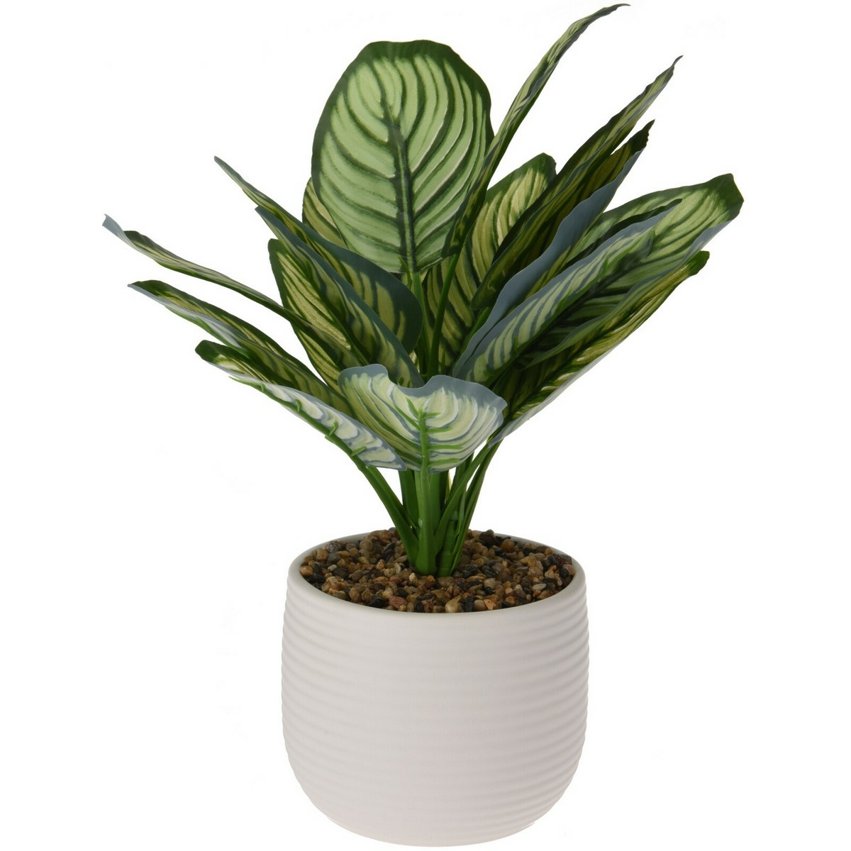 Umela-Calathea-v-keramickom-kvetinaci-12-x-26-cm-biela